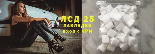 стаф Алексин