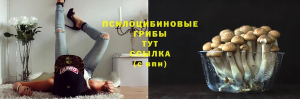 spice Алексеевка