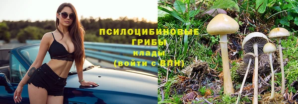 spice Алексеевка