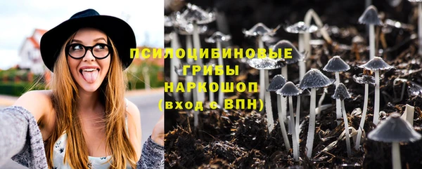 стаф Алексин