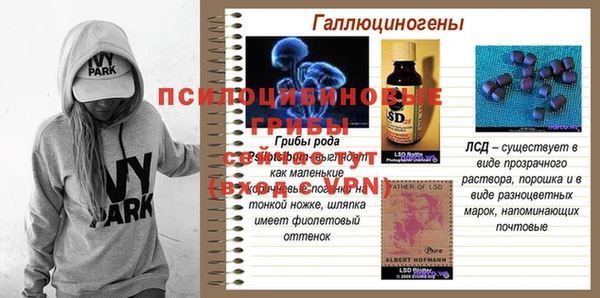 стаф Алексин