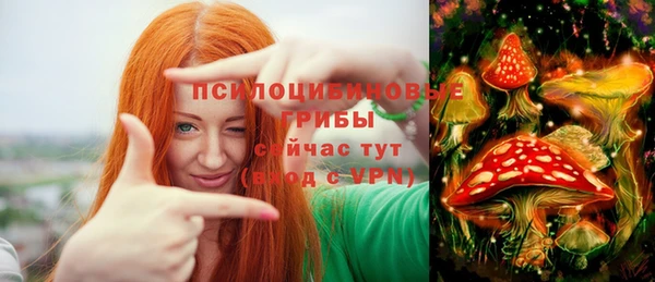 spice Алексеевка
