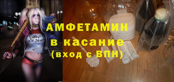 стаф Алексин