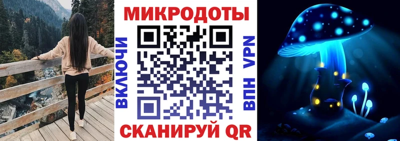 Псилоцибиновые грибы Cubensis  Пикалёво 